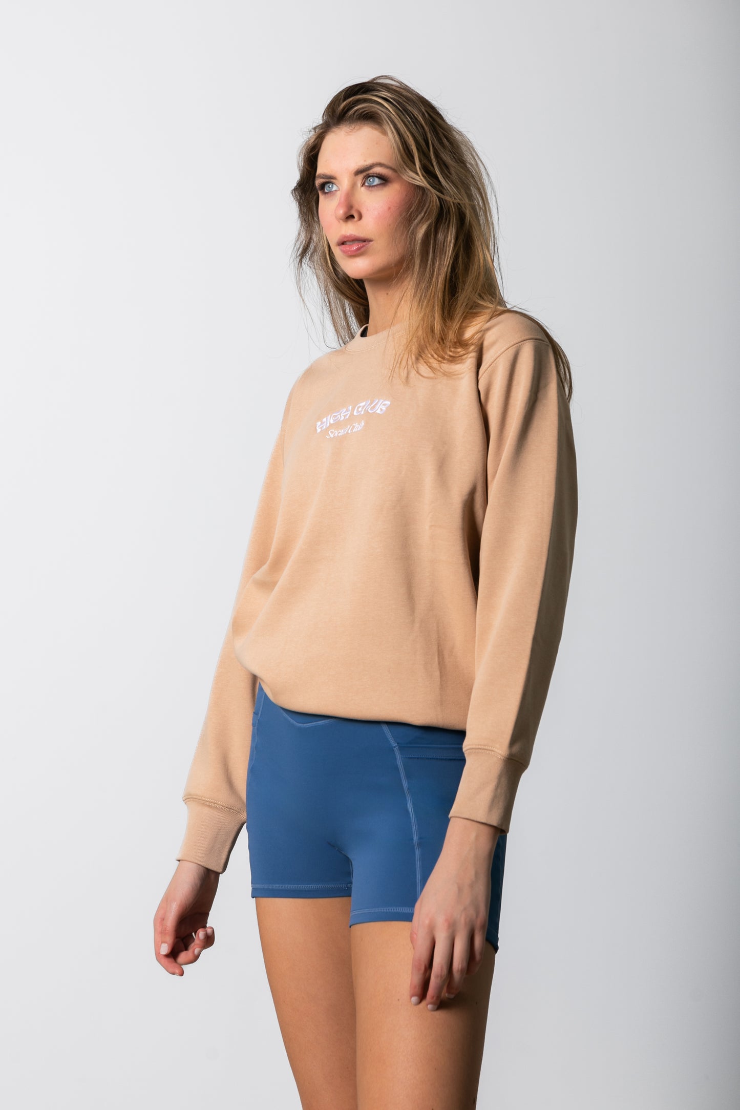 THE SOCIAL CREW NECK SWEATER / BEIGE